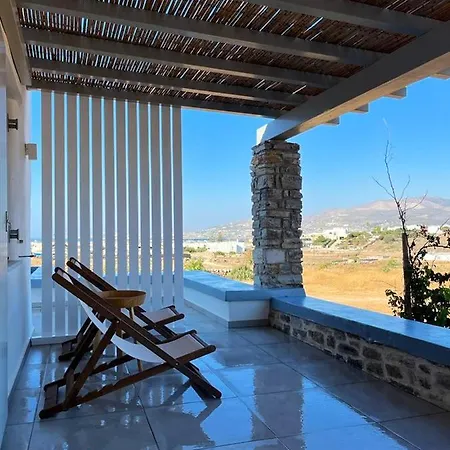 Seaside In With Garden And Terrace Apartment Andiparos